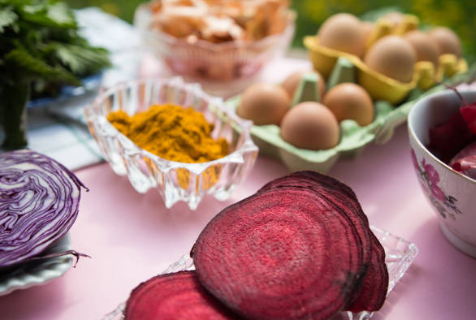 Natural Dye Sources in North America