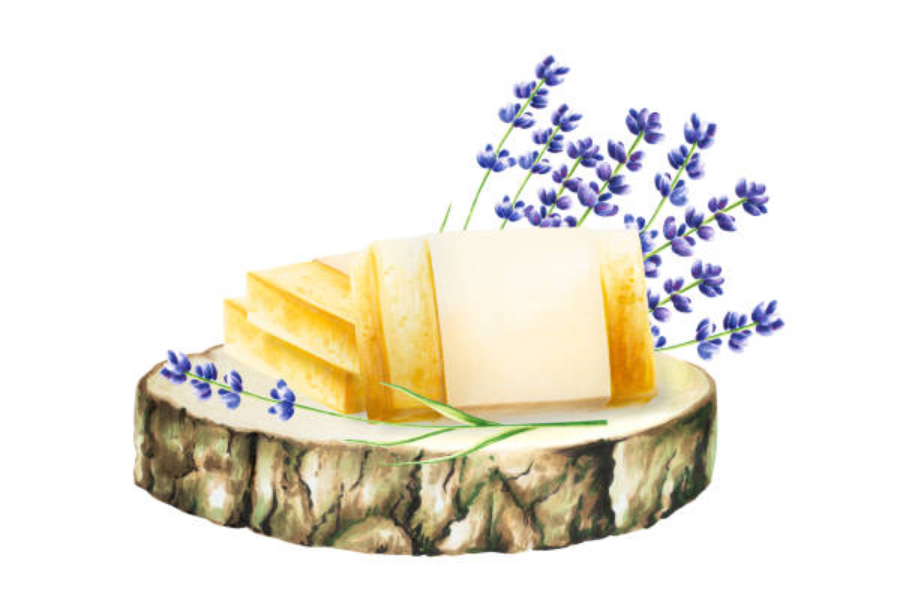 | Why Artisans Use Tree Bark in Handmade Soap | Why Artisans Use Tree Bark in Handmade Soap