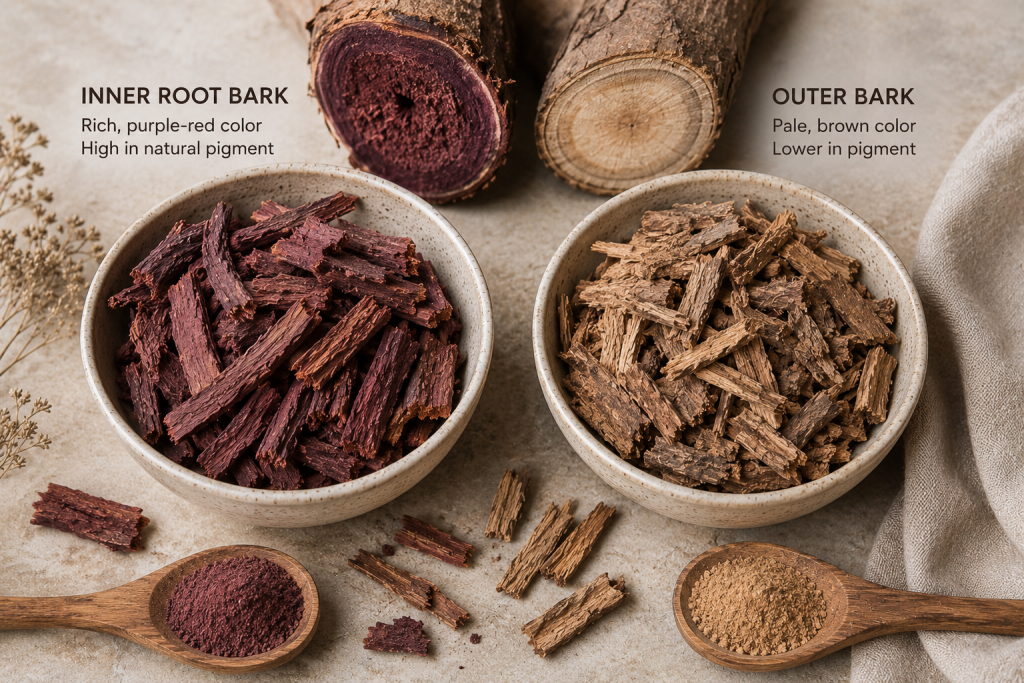 | Mexican Mimosa Hostilis Inner Root Bark vs Outer Bark: Key Differences mexican mimosa hostilis inner root bark vs outer bark